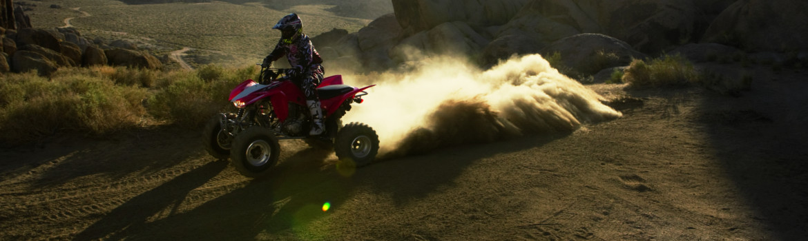 2018 Honda® TRX for sale in Allsport, Liberty Lake, Washington